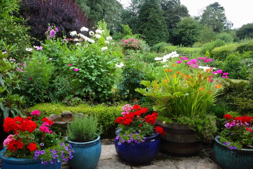 potted plants